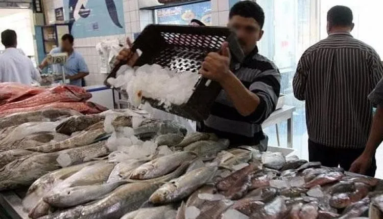 “بلوكاج في ميناء آسفي”.. اتهامات لبرلماني من الأحرار باحتكار سوق الجملة للسمك وإجبار الباعة على عدم البيع