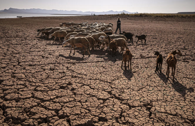  الجفاف والعطش يهددان آسفي والإقليم يحتاج إلى خفض استهلاكه من المياه بـ25 ألف متر مكعب فورًا + إنفوجرافيك