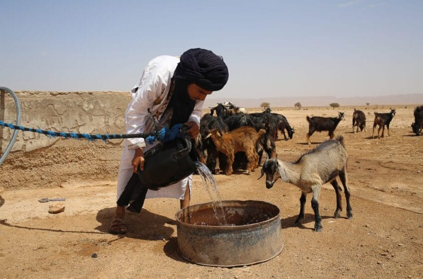 تقرير إخباري: حصة الفرد من الماء تراجعت إلى أقل من 650 مترا مكعبا.. الجفاف يتربص بالأمن المائي في المغرب