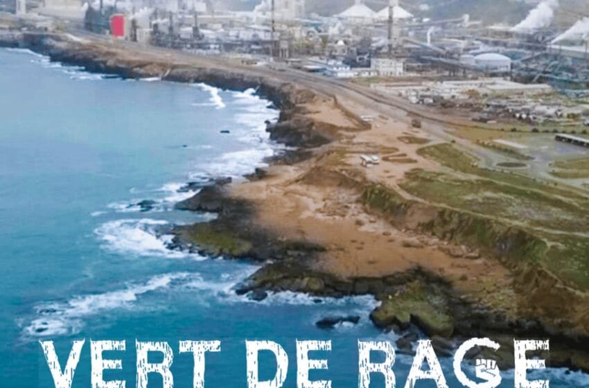 فرانس تيلفزيون ترفض مزاعم الـOCP بخصوص الطعن في التحقيق التلفزيوني “VERT DE RAGE” حول التلوث في آسفي