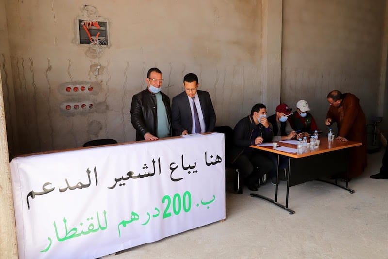 حقوقيون يُطالبون بفتح تحقيق في حرمان الفلاحين الصغار بالرحامنة من الشعير المدعم