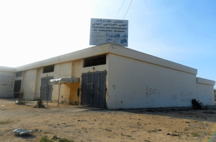 المجلس الأعلى للحسابات يرصد فشل مشتل المقاولات بآسفي بسبب موقعه وعدم وفاء الشركاء بتنفيذ الالتزامات