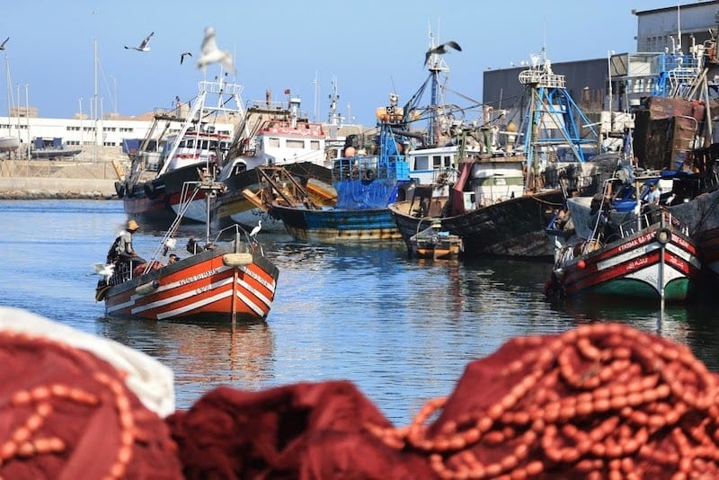 احتقان في قطاع الصيد البحري.. الصديقي: أسعار المحروقات المستعملة في القطاع معفاة قانونا من الرسوم