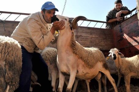 عيد الأضحى يوم 29 يونيو في المغرب (وزارة الأوقاف والشؤون الإسلامية)