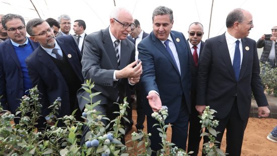  حيكر: المخطط الأخضر فشل في توفير الأمن الغذائي للمغرب واستنزف الفرشة المائية