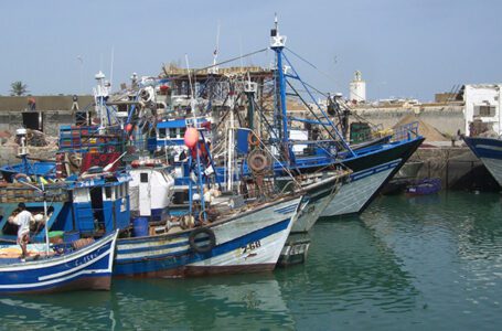 النواب يُصادقون على مشروع قانون يُتيح اقتناء وبناء وترميم سفن الصيد