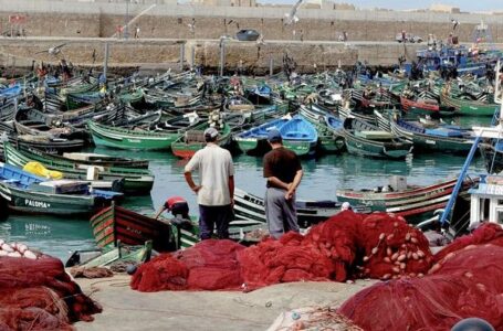 كساد يضرب ميناء آسفي.. تراجع مفرغات الصيد بنسبة 31 في المائة وفقدان 17 مليون درهم في 6 أشهر