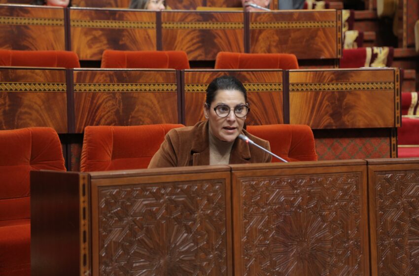 المنصوري: الحكومة ضخت 23.7 مليار درهم في برامج التأهيل الحضري