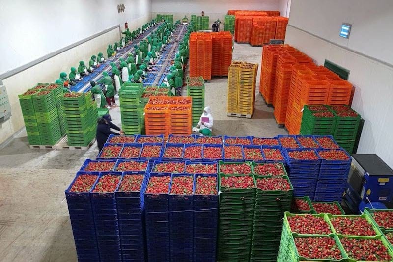 فرنسا تشد الخناق عن صادرات المغرب الفلاحية بمقترح قانون