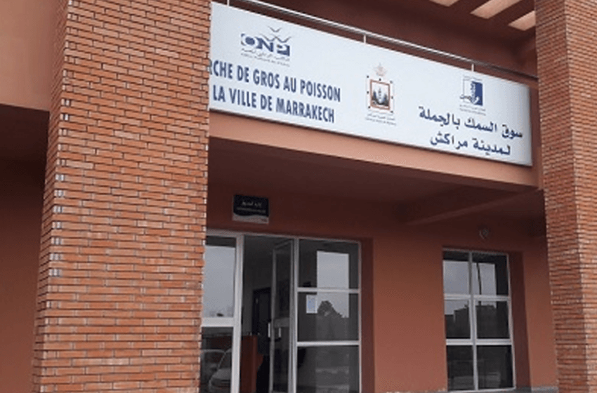 اختلالات بسوق الجملة للسمك في مراكش تثير استياء التجار والمهنيين
