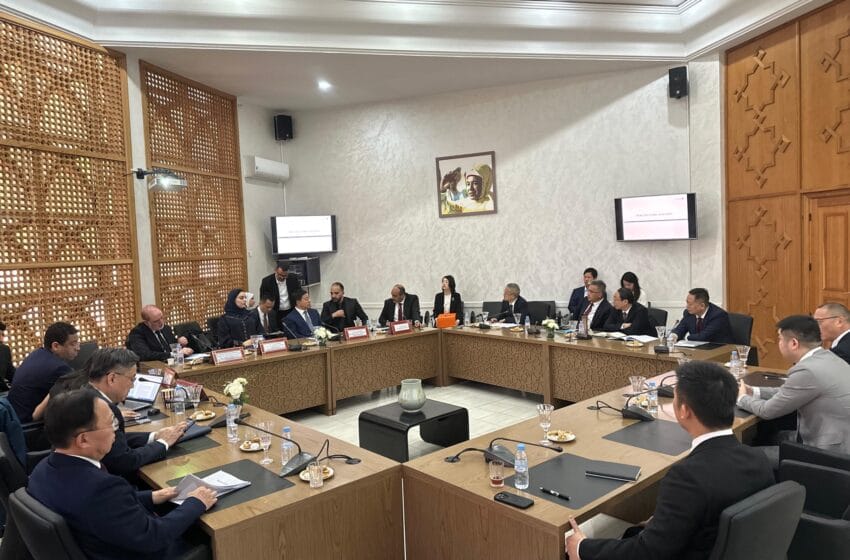 مجلس آسفي يُعيد إحياء علاقات التوأمة مع Jingdezhen الصينية بعد عقود من الجمود