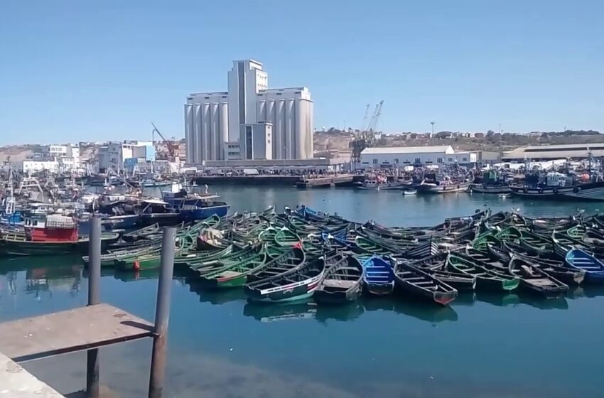 ميناء آسفي يحقق رقما قياسيا بصيد وتفريغ 700 طن من السردين في يوم واحد