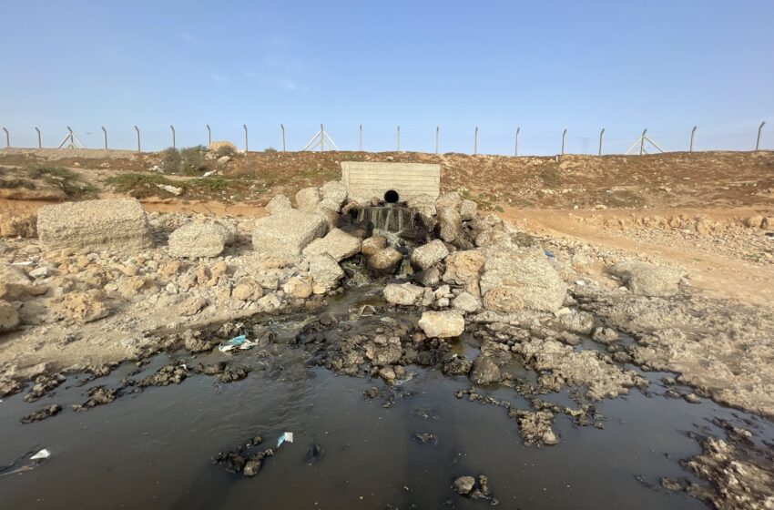 حقوقيون يطالبون عامل آسفي بفتح تحقيق إداري مع النائب الثالث لمجلس آسفي عقب فضيحة “منح الرخص”