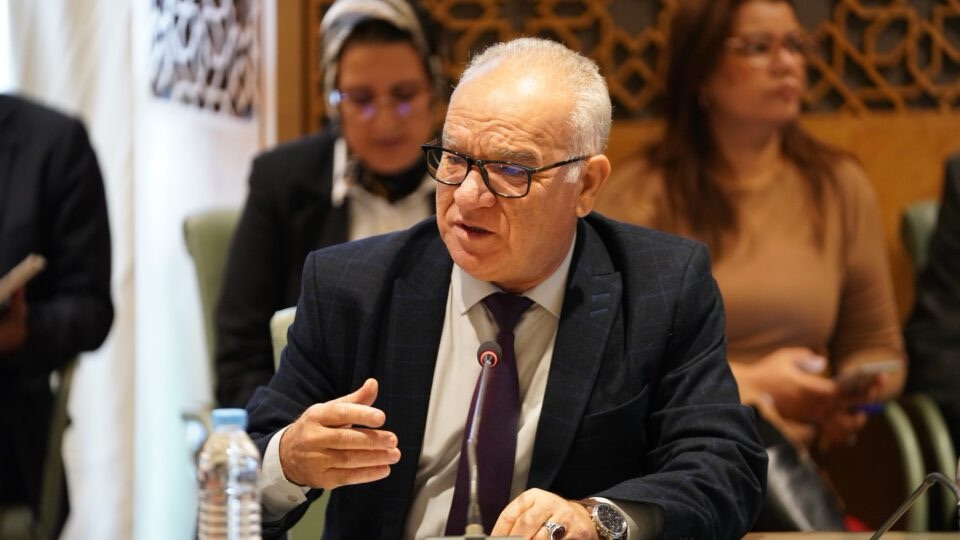 الحكم على نور الدين مضيان بستة أشهر حبسا نافذا في قضية رفيعة المنصوري